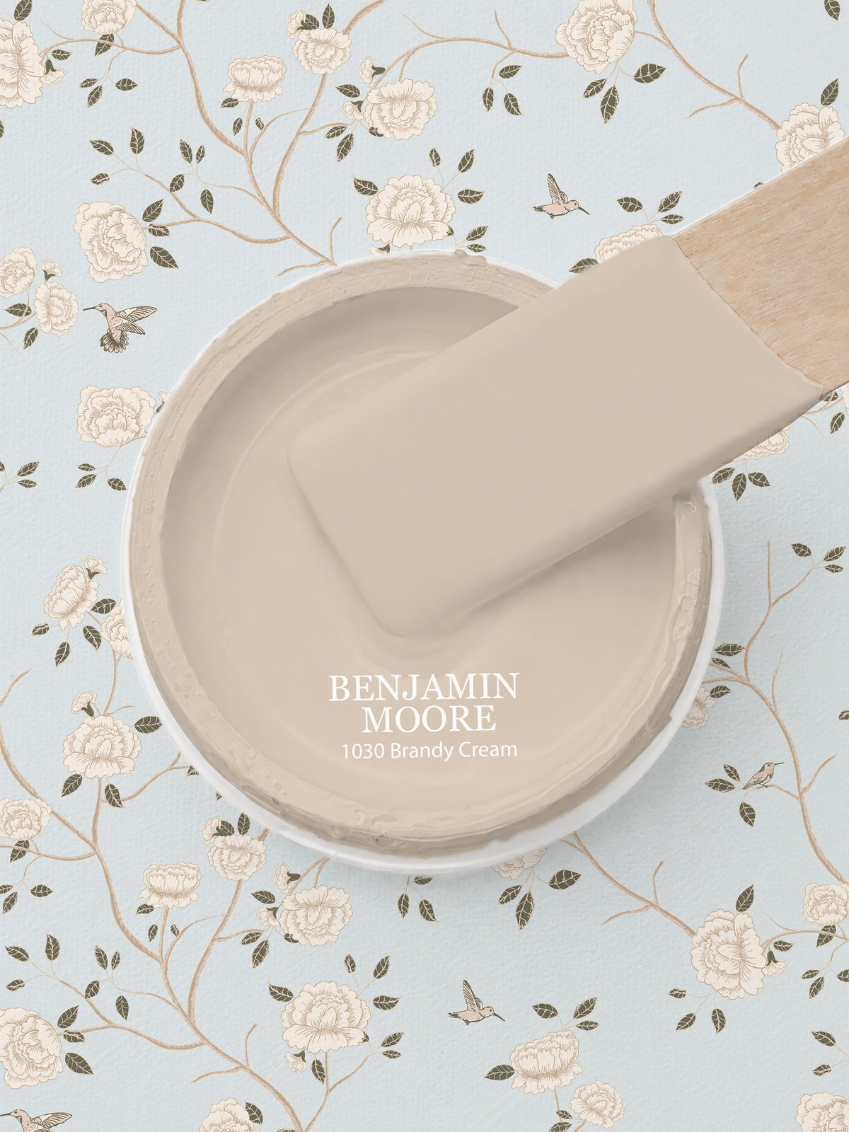 Light blue wallpaper with cream roses and hummingbirds, vintage style
