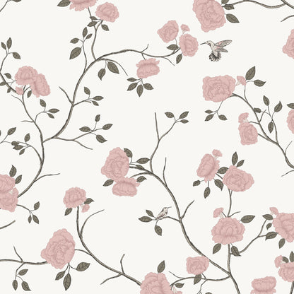Vintage floral wallpaper with pink roses, vines, and hummingbirds on a cream background.